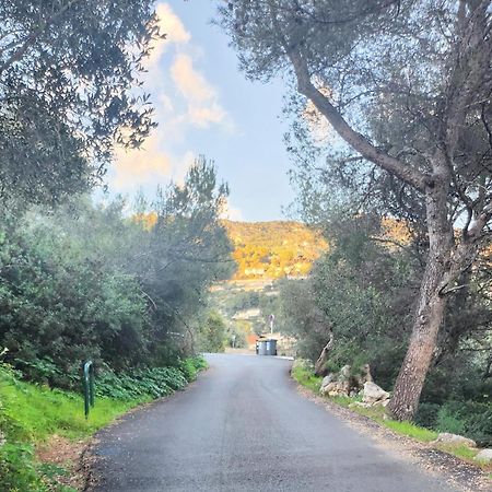 Le Mas D'Angeline, Vue Mer, Jardin Commun, Parking, Voiture Requise, 10 Min En Voiture De Monaco, Route Etroite, Pente Raide, Croisement Limite, Sea View, Shared Garden, Parking, Car Required, 10 Min Drive From Monaco, Narrow Steep Road, Limited Pass Beausoleil Luaran gambar