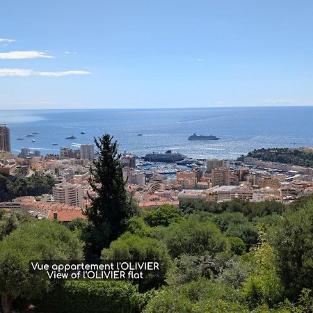 Le Mas D'Angeline, Vue Mer, Jardin Commun, Parking, Voiture Requise, 10 Min En Voiture De Monaco, Route Etroite, Pente Raide, Croisement Limite, Sea View, Shared Garden, Parking, Car Required, 10 Min Drive From Monaco, Narrow Steep Road, Limited Pass Beausoleil Luaran gambar