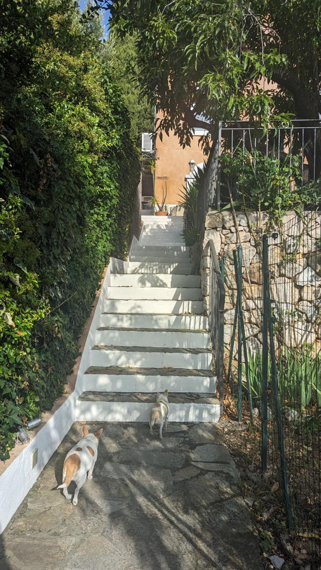 Le Mas D'Angeline, Vue Mer, Jardin Commun, Parking, Voiture Requise, 10 Min En Voiture De Monaco, Route Etroite, Pente Raide, Croisement Limite, Sea View, Shared Garden, Parking, Car Required, 10 Min Drive From Monaco, Narrow Steep Road, Limited Pass Beausoleil Luaran gambar