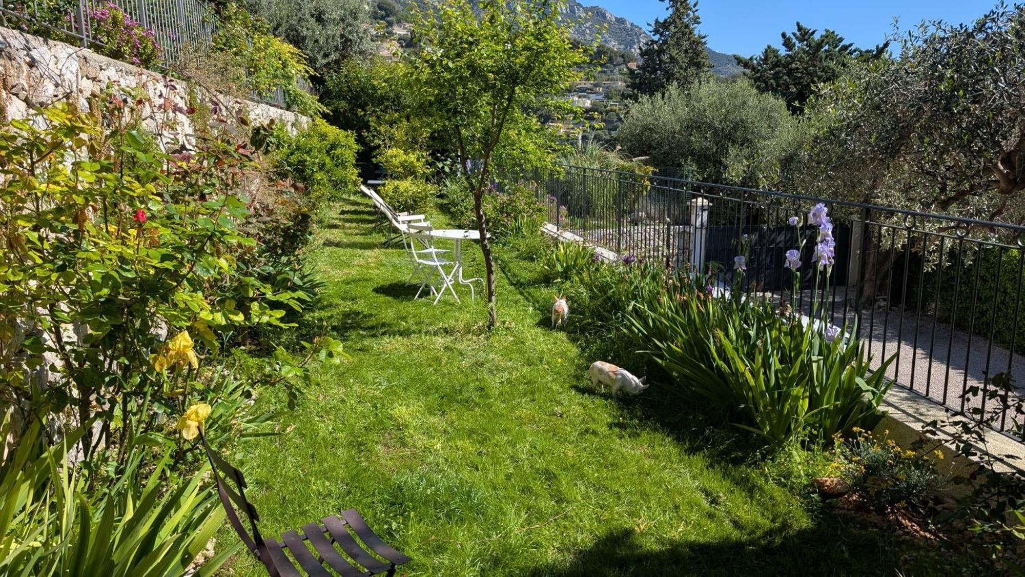 Le Mas D'Angeline, Vue Mer, Jardin Commun, Parking, Voiture Requise, 10 Min En Voiture De Monaco, Route Etroite, Pente Raide, Croisement Limite, Sea View, Shared Garden, Parking, Car Required, 10 Min Drive From Monaco, Narrow Steep Road, Limited Pass Beausoleil Luaran gambar