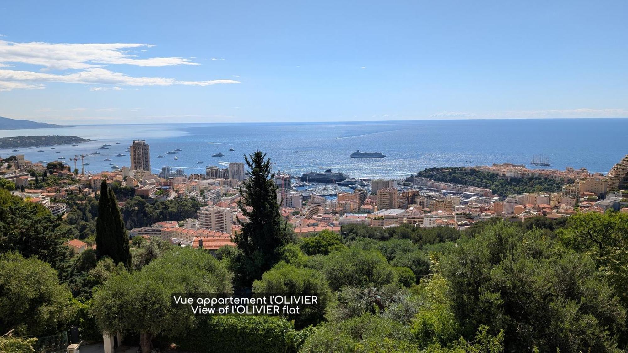 Le Mas D'Angeline, Vue Mer, Jardin Commun, Parking, Voiture Requise, 10 Min En Voiture De Monaco, Route Etroite, Pente Raide, Croisement Limite, Sea View, Shared Garden, Parking, Car Required, 10 Min Drive From Monaco, Narrow Steep Road, Limited Pass Beausoleil Luaran gambar
